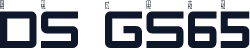 DS GS65