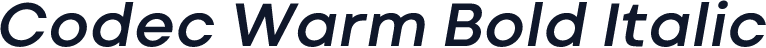 Codec Warm Bold Italic