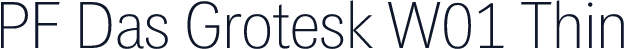 PF Das Grotesk W01 Thin