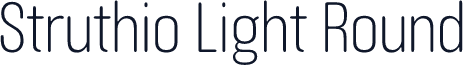 Struthio Light Round