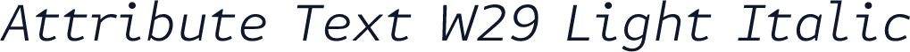Attribute Text W29 Light Italic