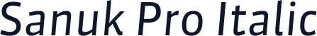 Sanuk Pro Italic