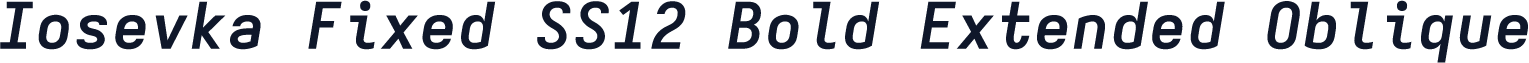 Iosevka Fixed SS12 Bold Extended Oblique