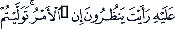 QCF_P509
