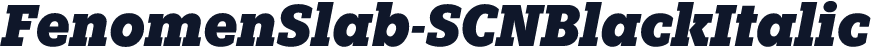 FenomenSlab-SCNBlackItalic