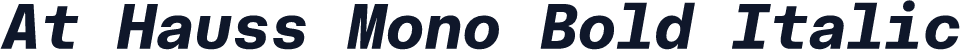 At Hauss Mono Bold Italic