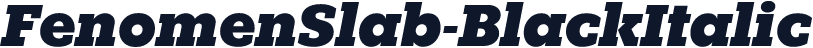 FenomenSlab-BlackItalic