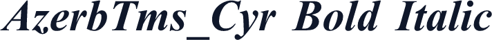 AzerbTms_Cyr Bold Italic