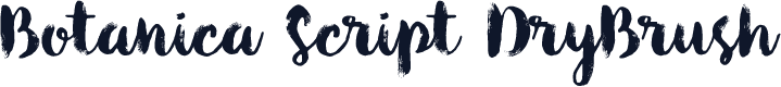 Botanica Script DryBrush