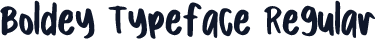 Boldey Typeface Regular