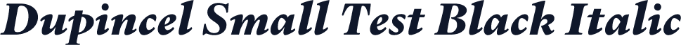 Dupincel Small Test Black Italic