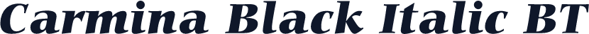 Carmina Black Italic BT