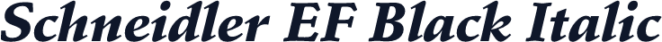 Schneidler EF Black Italic
