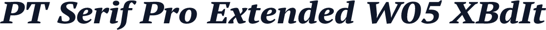 PT Serif Pro Extended W05 XBdIt