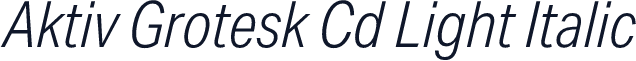 Aktiv Grotesk Cd Light Italic