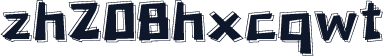 zh208hxcqwt