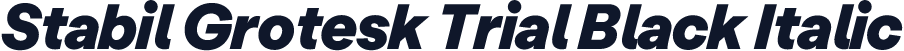 Stabil Grotesk Trial Black Italic