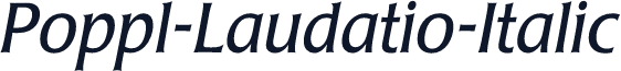 Poppl-Laudatio-Italic
