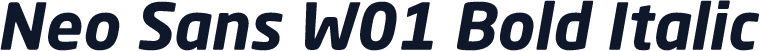 Neo Sans W01 Bold Italic