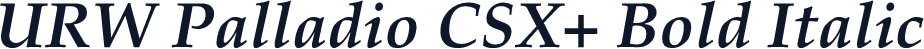 URW Palladio CSX+ Bold Italic