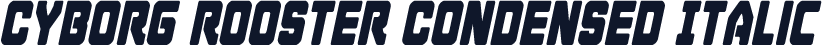 Cyborg Rooster Condensed Italic