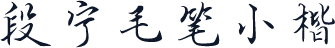 段宁毛笔小楷