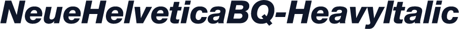 NeueHelveticaBQ-HeavyItalic