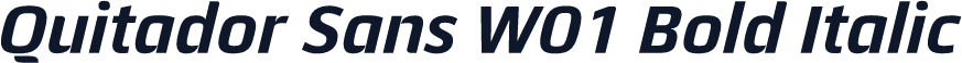 Quitador Sans W01 Bold Italic