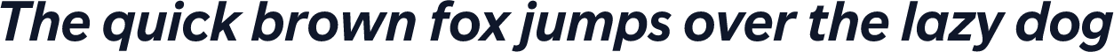Travel Bold Italic