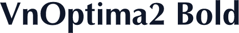 VnOptima2 Bold