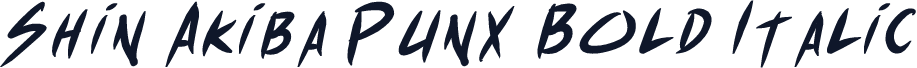 Shin Akiba Punx Bold Italic