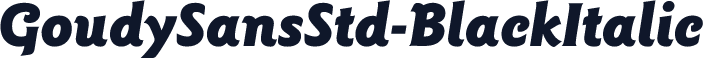 GoudySansStd-BlackItalic