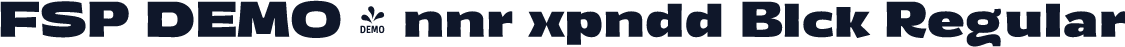 FSP DEMO - nnr xpndd Blck Regular