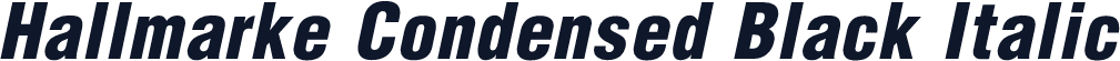 Hallmarke Condensed Black Italic