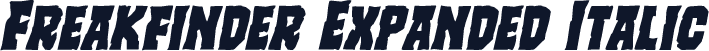 Freakfinder Expanded Italic