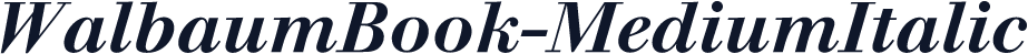 WalbaumBook-MediumItalic