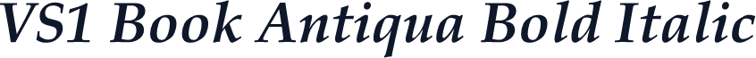 VS1 Book Antiqua Bold Italic