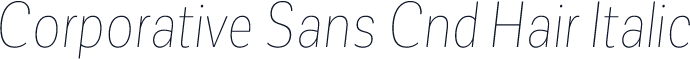 Corporative Sans Cnd Hair Italic