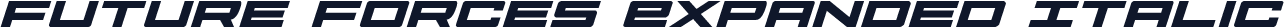 Future Forces Expanded Italic