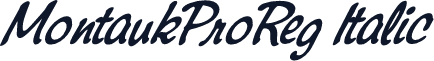 MontaukProReg Italic