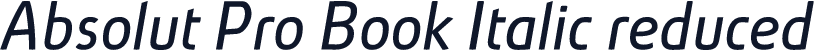 Absolut Pro Book Italic reduced