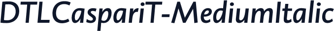 DTLCaspariT-MediumItalic