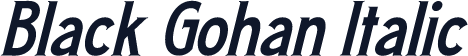 Black Gohan Italic