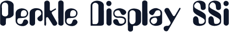 Perkle Display SSi