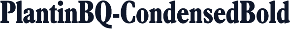 PlantinBQ-CondensedBold