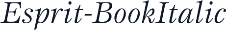 Esprit-BookItalic