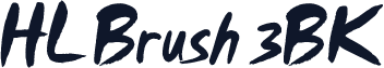 HL Brush 3BK