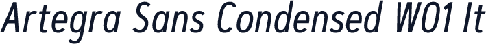 Artegra Sans Condensed W01 It