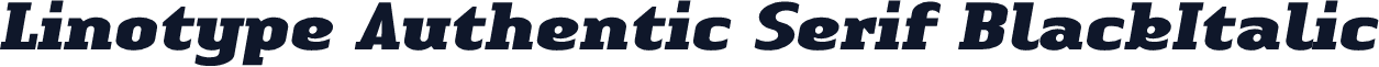 Linotype Authentic Serif BlackItalic