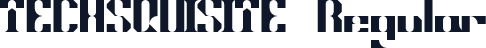 TECHSQUISITE Regular
